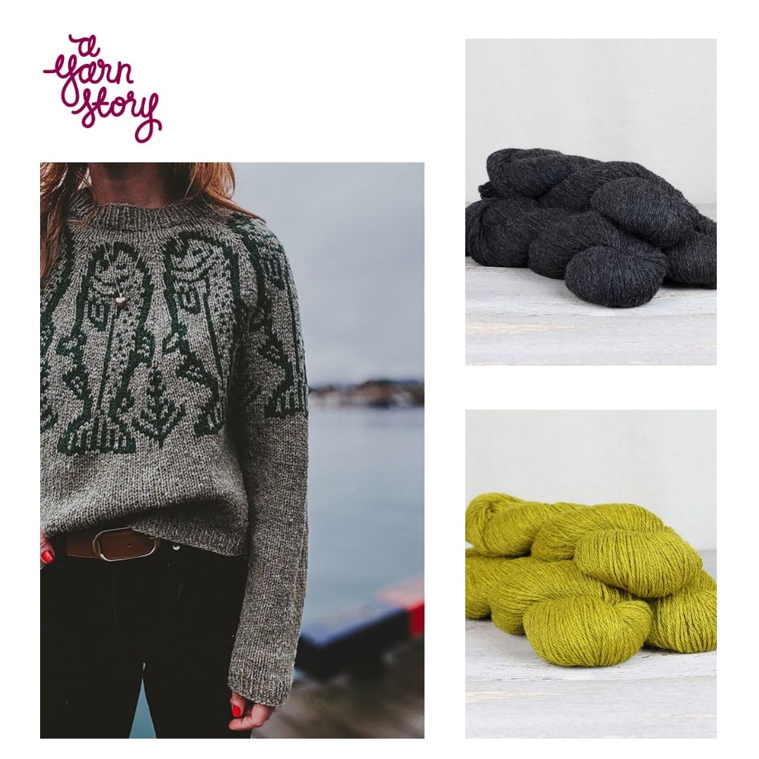 King Salmon by Caitlin Hunter - Yarn Bundle