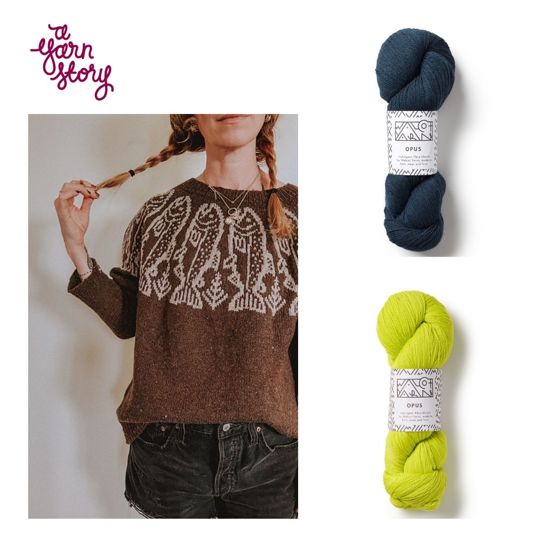 King Salmon Light by Caitlin Hunter - Opus Yarn Bundle