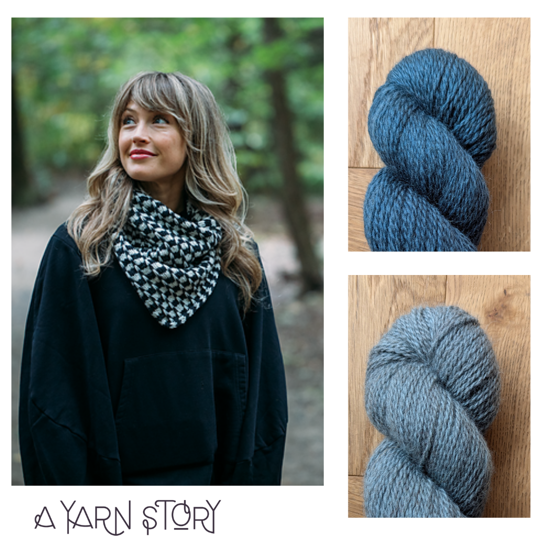 Night & Day Cowl by Andrea Mowry Yarn Bundle