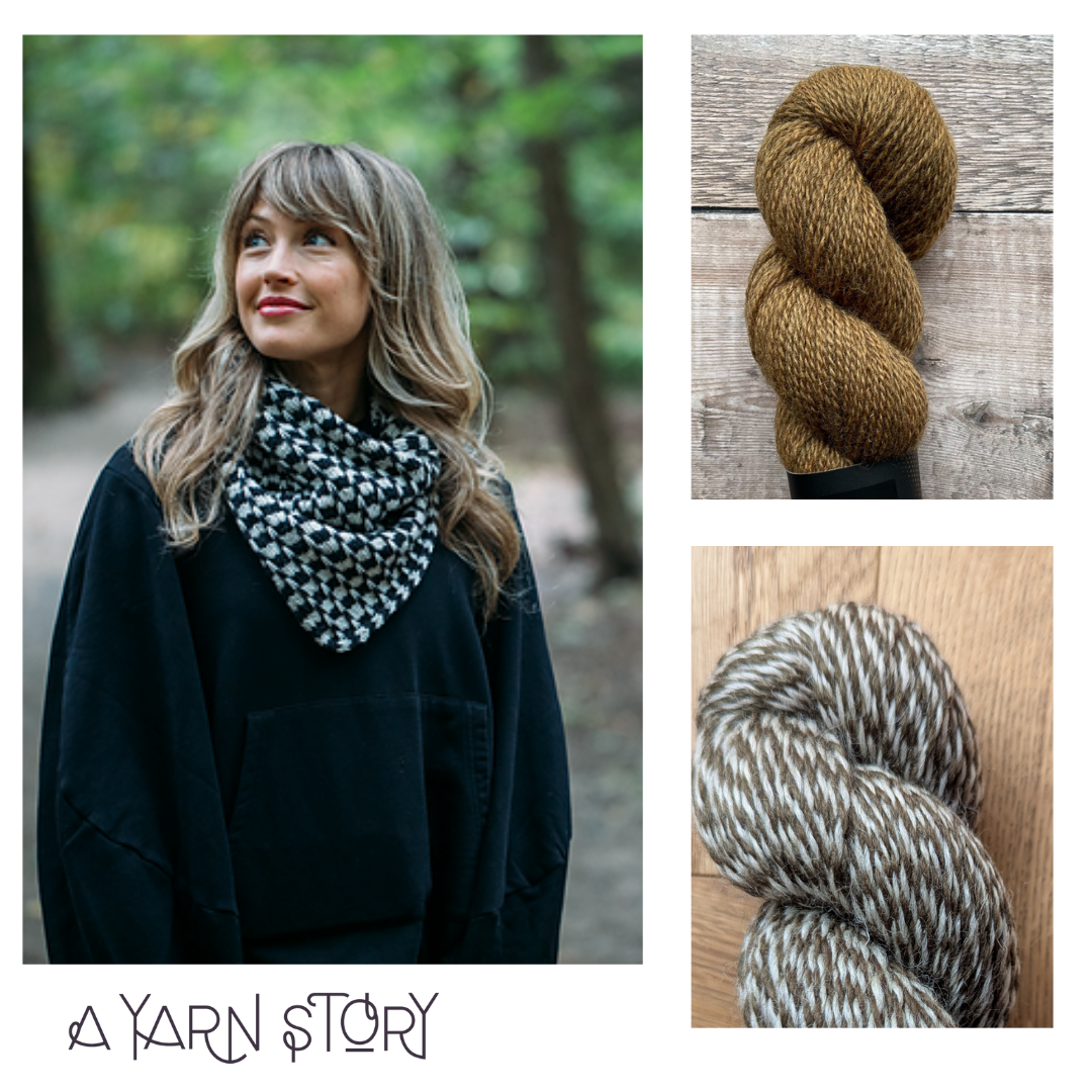 Night & Day Cowl by Andrea Mowry Yarn Bundle