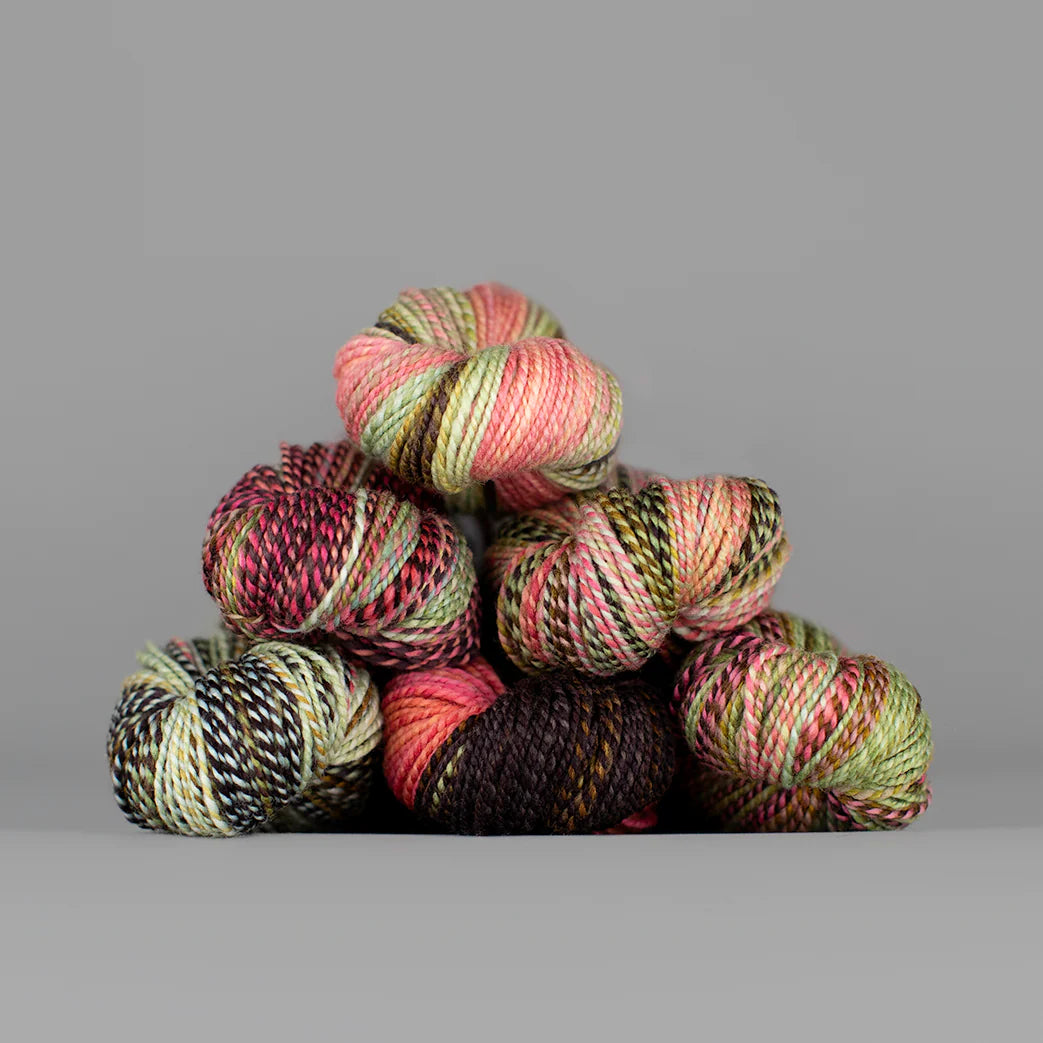 Spincycle Yarns Dyed in the Wool