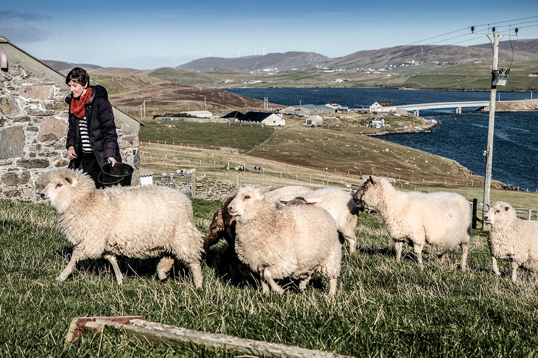 Shetland Oo: Wool, Textiles, Work