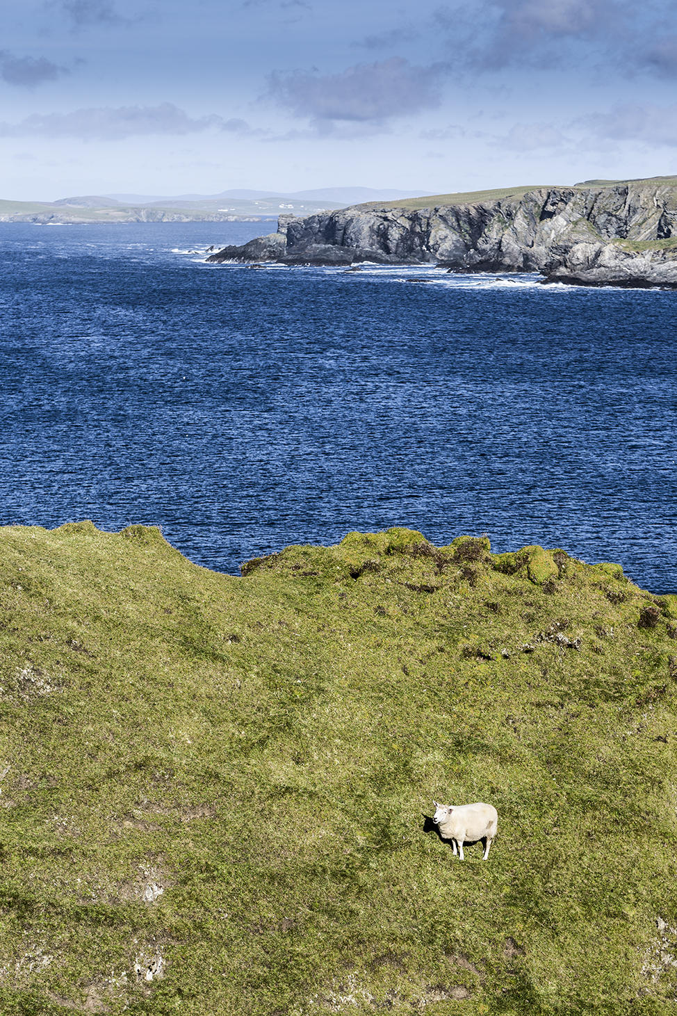 Shetland Oo: Wool, Textiles, Work