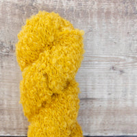 Julie Asselin Boucle