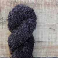 Julie Asselin Boucle