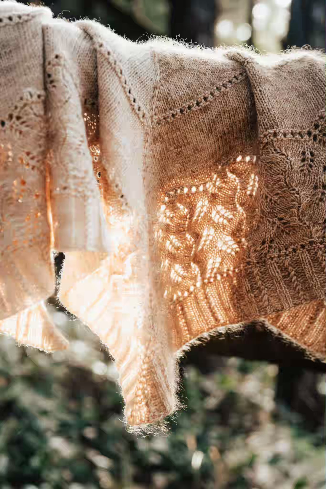 Salt & Timber by Lindsey Fowler