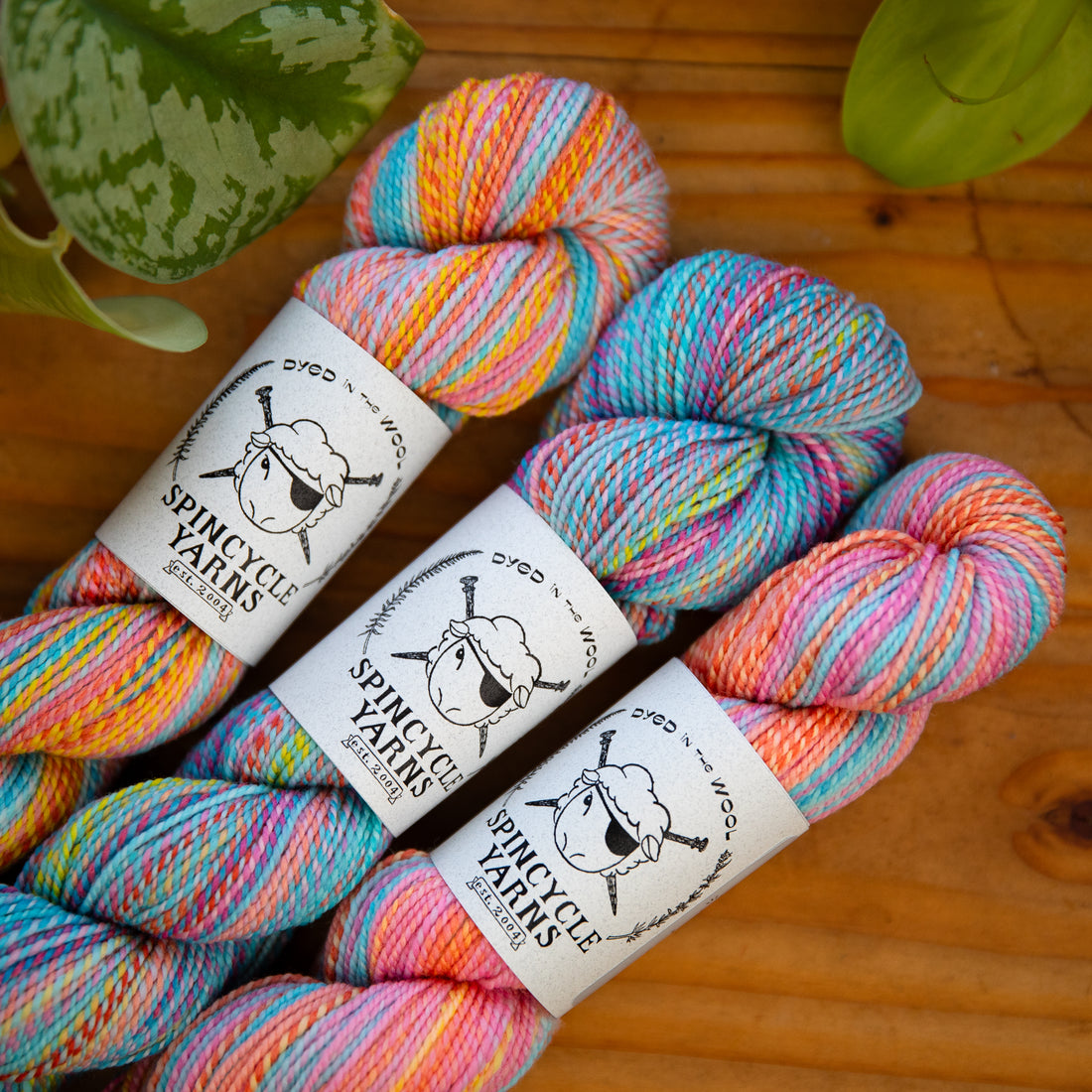 Spincycle Yarns Dyed in the Wool