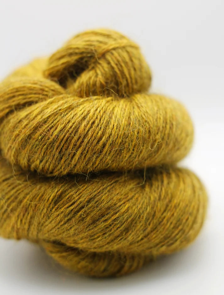 John Arbon Devonia DK