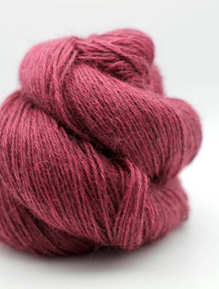 John Arbon Devonia DK
