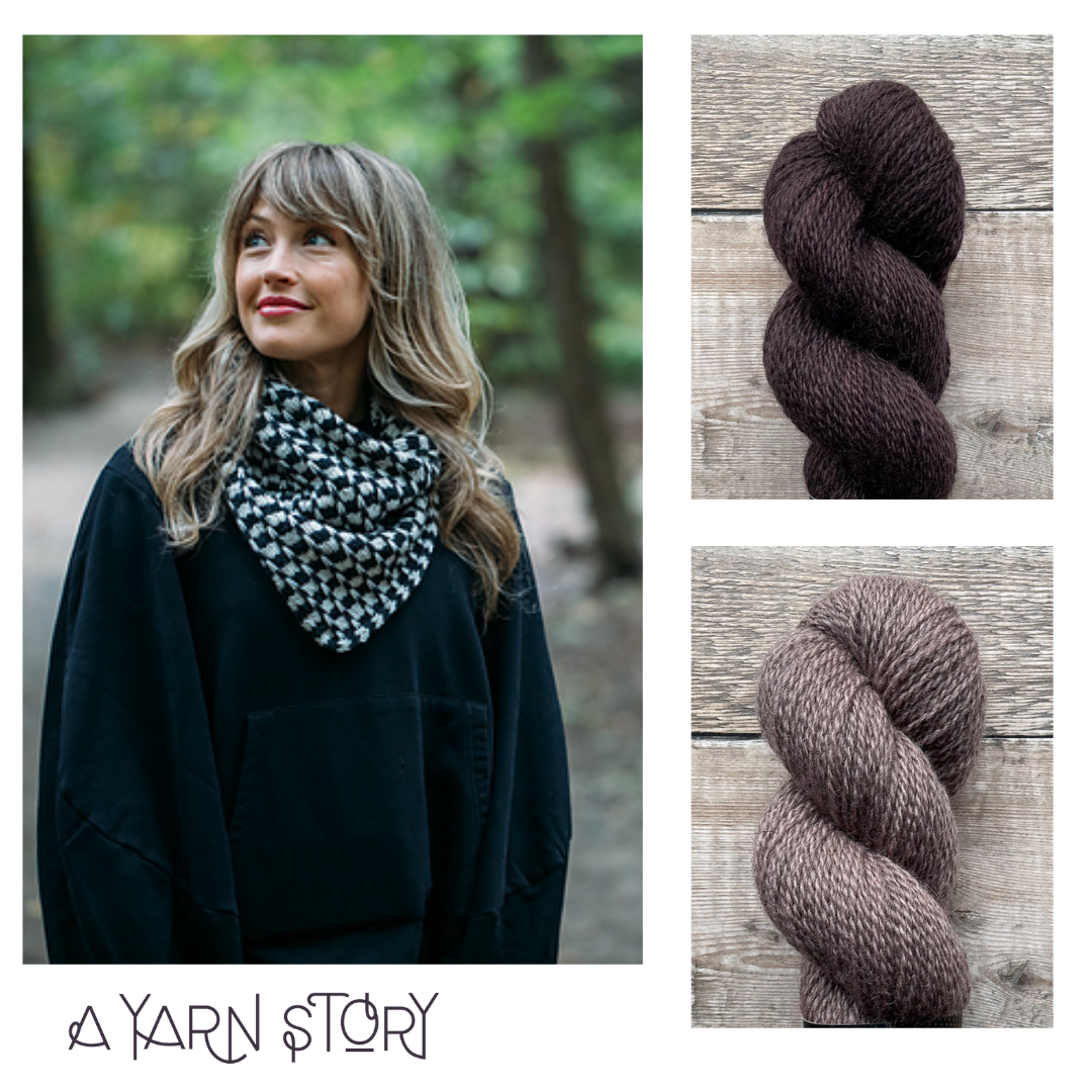 Night & Day Cowl by Andrea Mowry Yarn Bundle