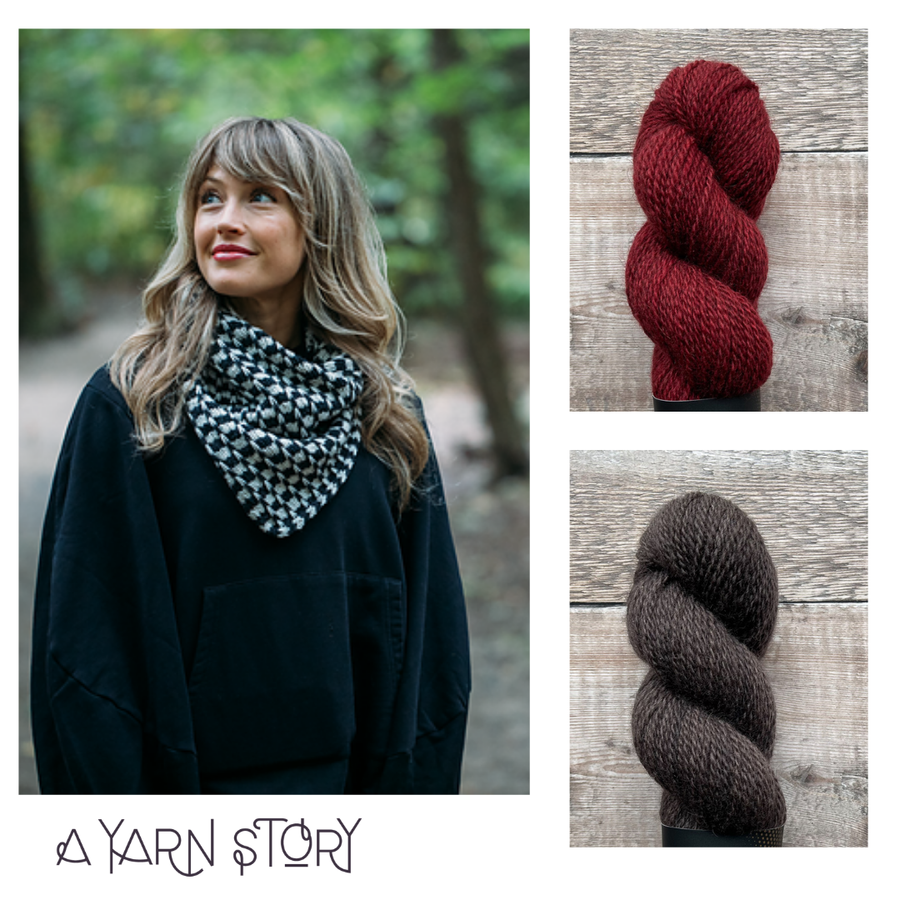 Night & Day Cowl by Andrea Mowry Yarn Bundle