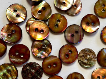 Gold Abalone Shell Sprayed with Flashes of Pink Mauve Brown & Green in Light Size 11mm - TGB5542