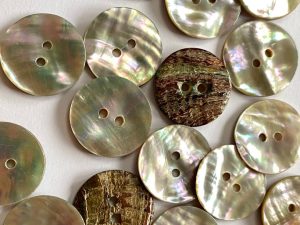 Pearly White Abalone Shell Button with Flashes of Pink & Green 20mm - TGB5543