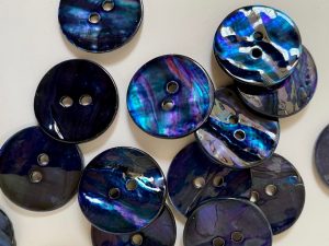 Deep Blue Abalone Shell Sprayed with Flashes of Green Mauve & Purple 20mm - TGB5674