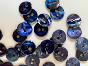 Deep Blue Abalone Shell Sprayed with Flashes of Green Mauve & Purple 11mm - TGB5676