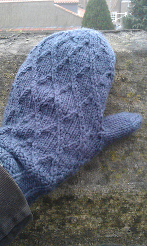 Gherkin Mittens Pattern