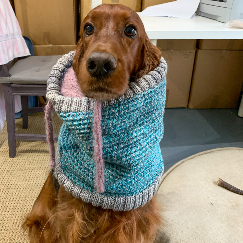 Peaches the Shop Dog Greeting Card