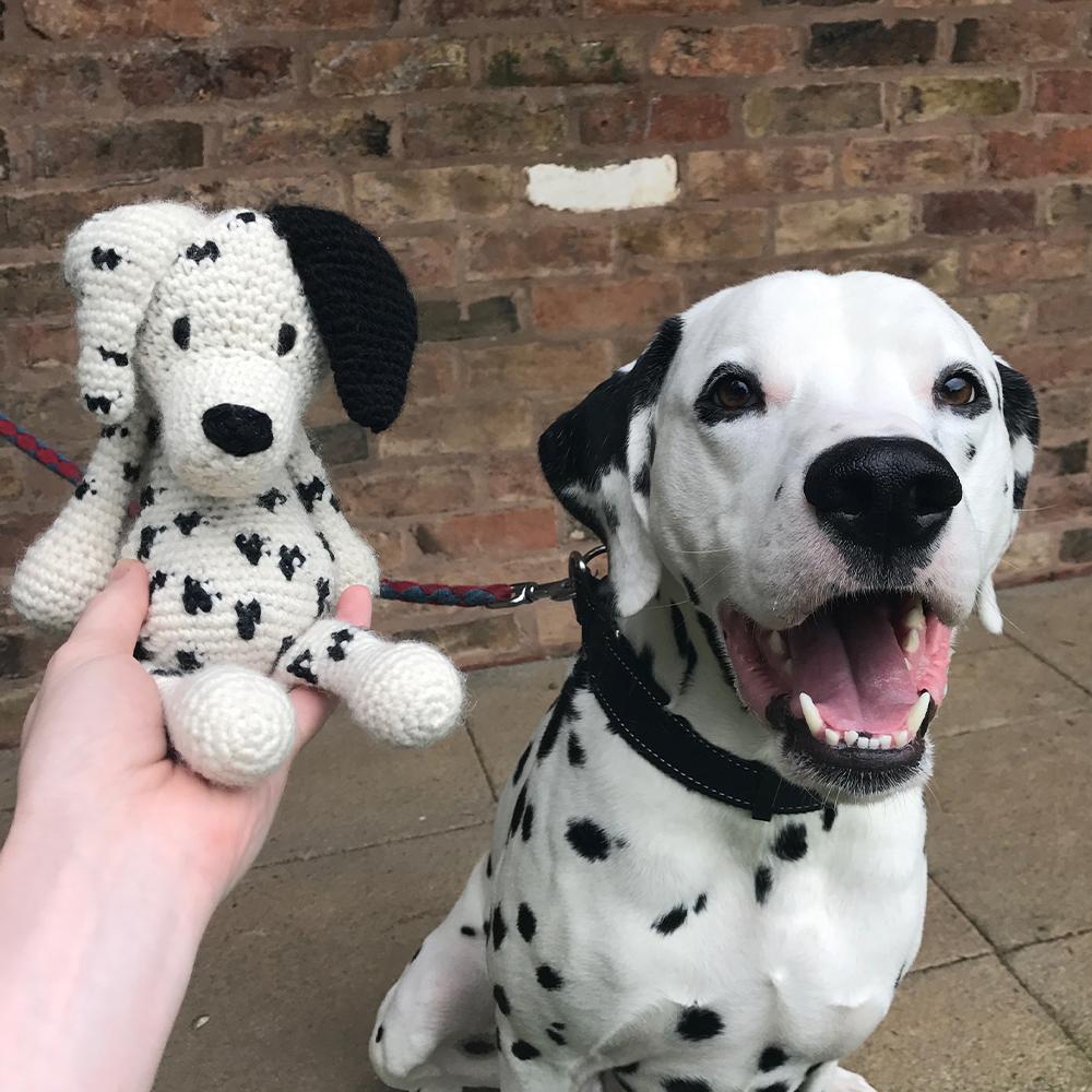 Mark the Dalmatian